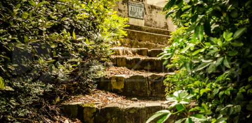 Paris Père Lachaise Cemetery – Hidden Stairs