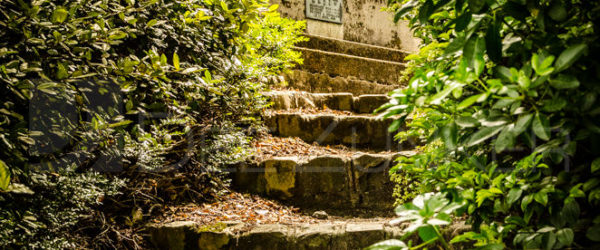 Paris Père Lachaise Cemetery – Hidden Stairs