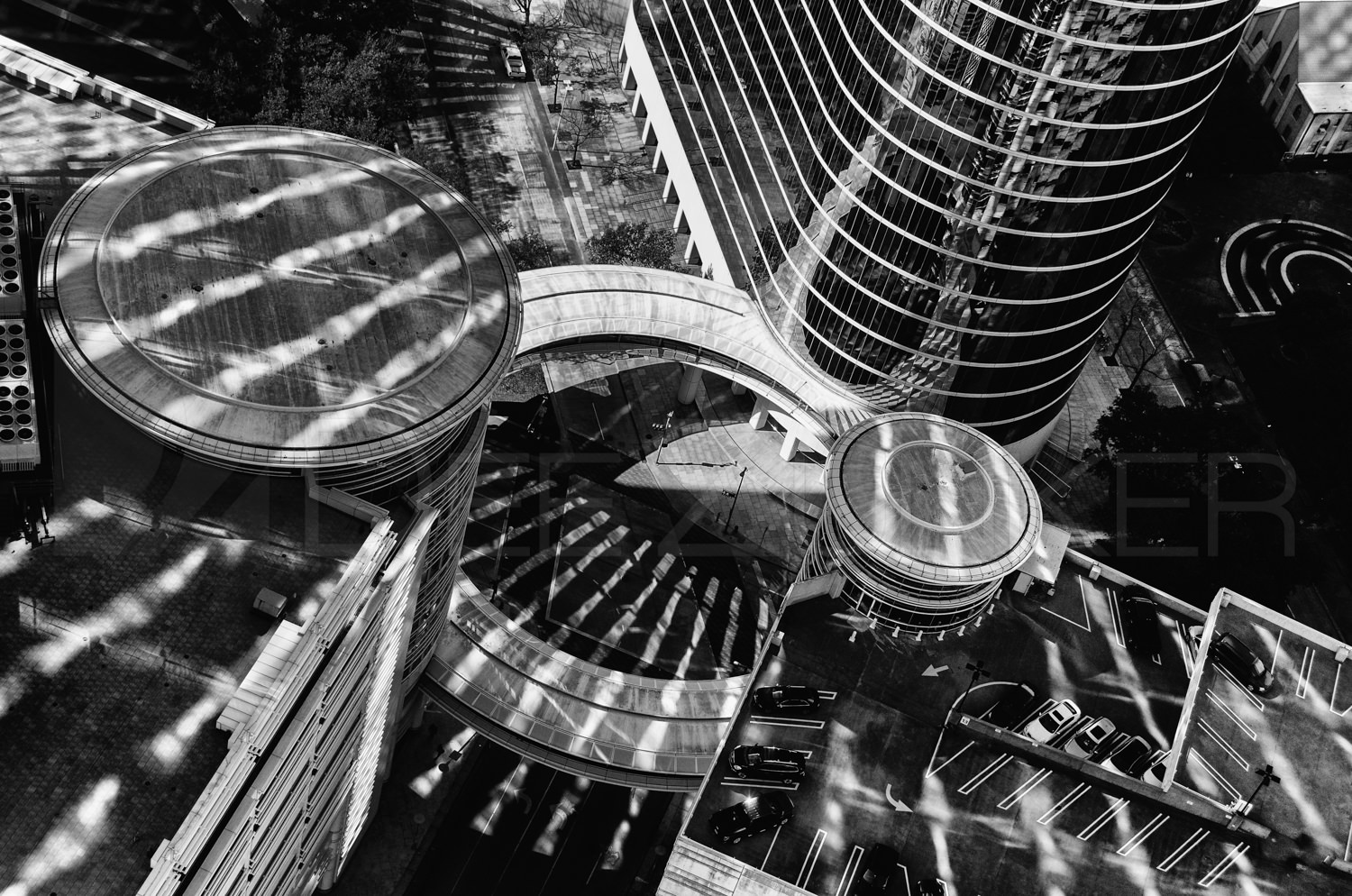 Houston - Black and White • Dee Zunker Photography