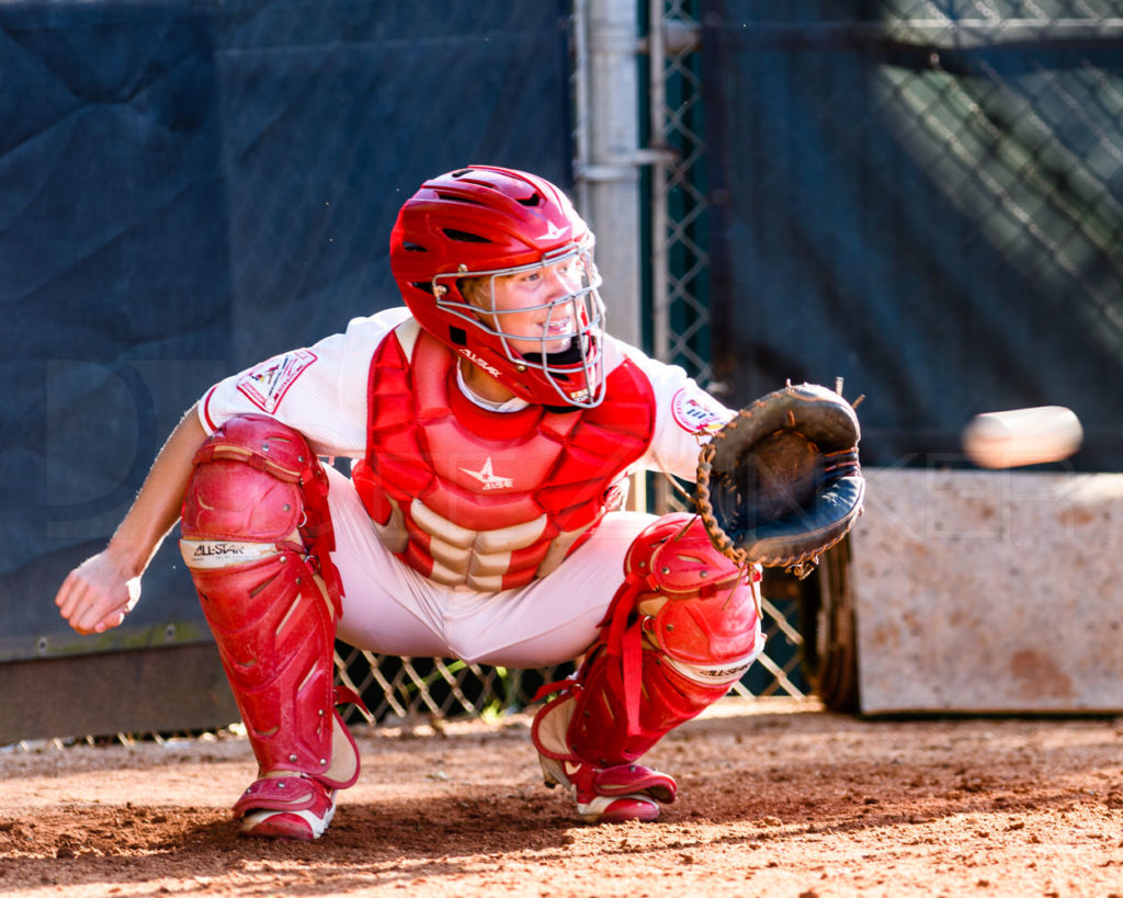 170403_0010_5002437.dng  Houston Sports Photographer Dee Zunker