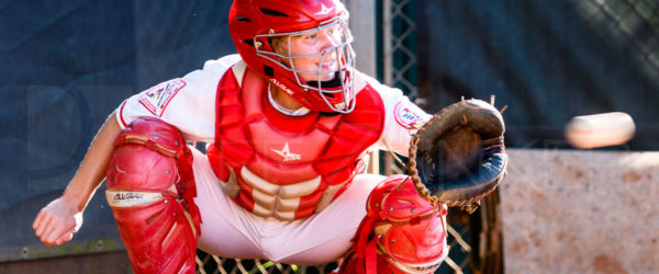 2017 Bellaire Baseball Spring