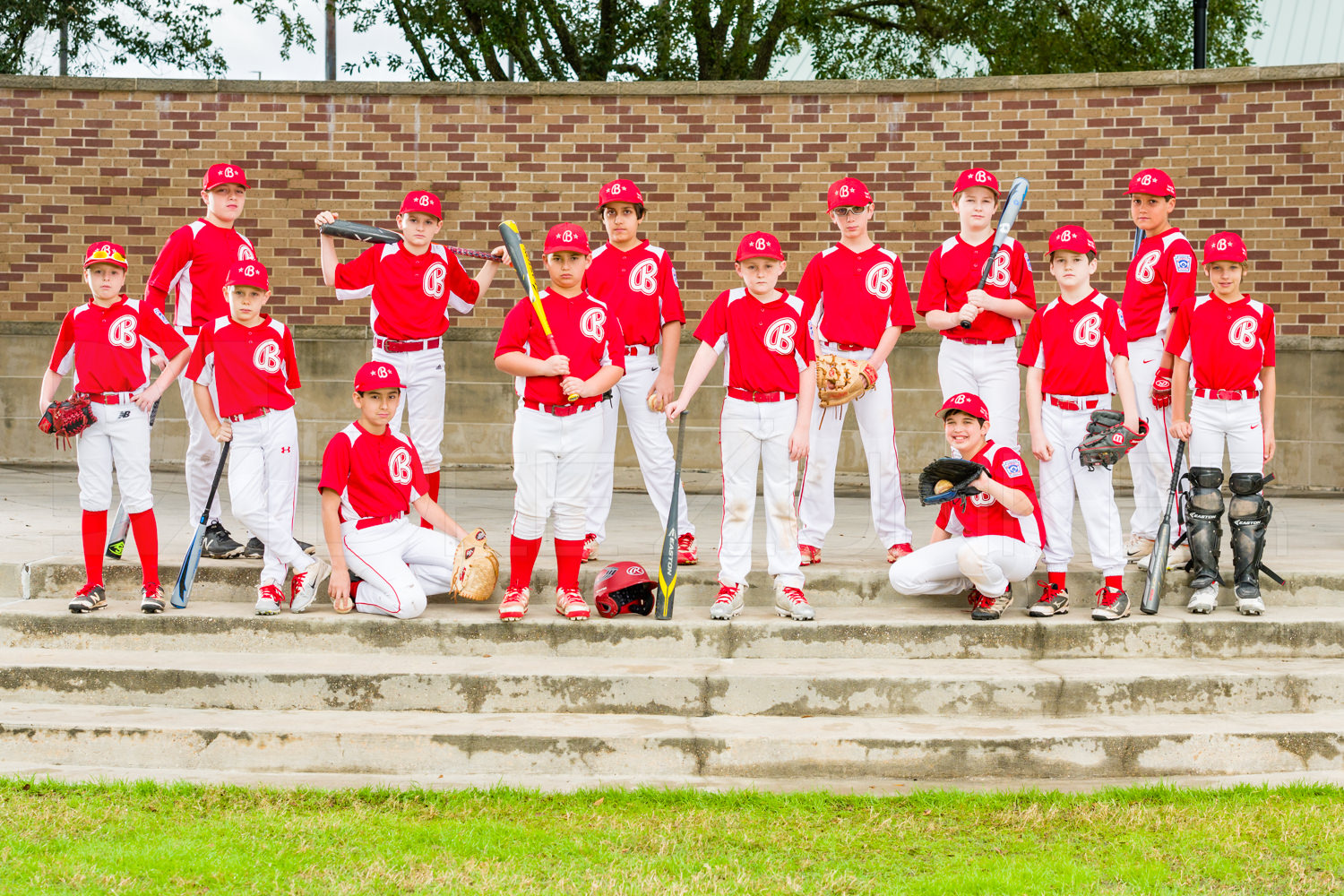 Bellaire Little League 10U Texas East State Champs 2018 • Dee Zunker