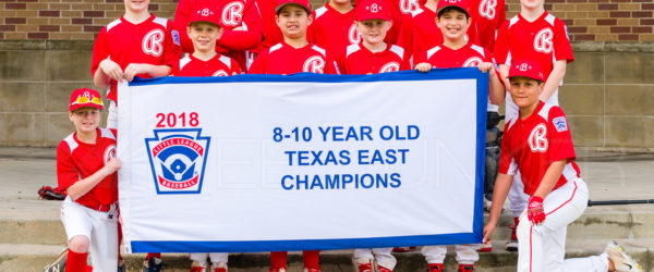 Bellaire Little League 10U Texas East State Champs 2018