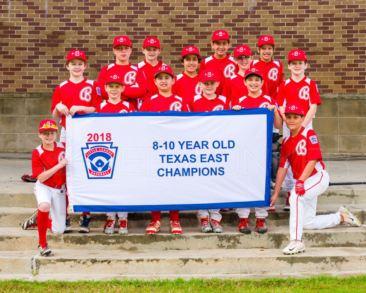 Bellaire Little League 10U Texas East State Champs 2018