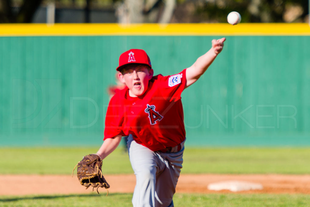 1733A-_5007810.NEF  Houston Sports Photographer Dee Zunker