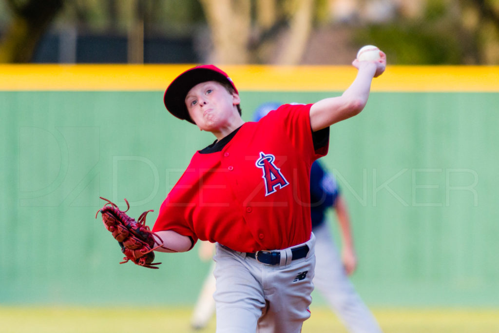 1733A-_5008533.NEF  Houston Sports Photographer Dee Zunker