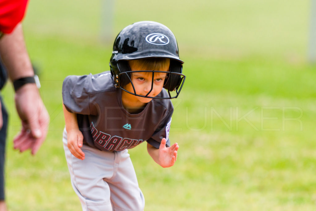 1733B-_5008740.NEF  Houston Sports Photographer Dee Zunker