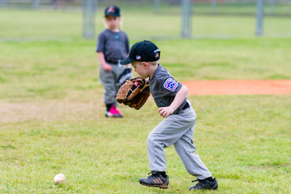 1733B-_5008888.NEF Houston Sports Photographer Dee Zunker