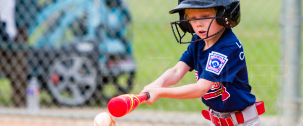 Bellaire Little League T-Ball Braves DBacks 20190323