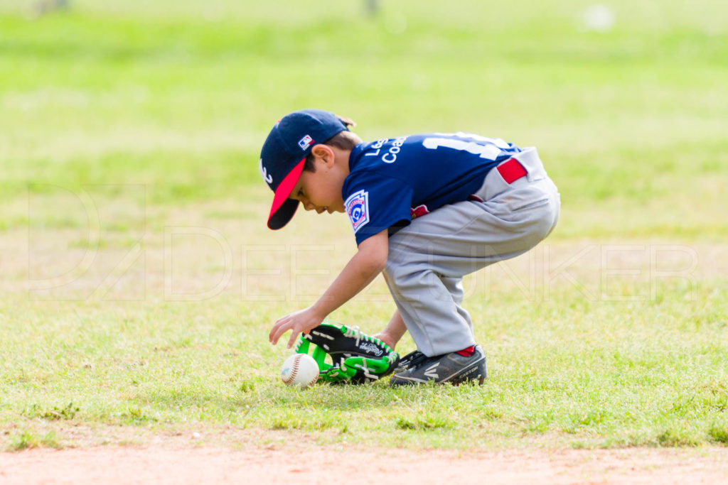 1733B-_5009165.NEF Houston Sports Photographer Dee Zunker