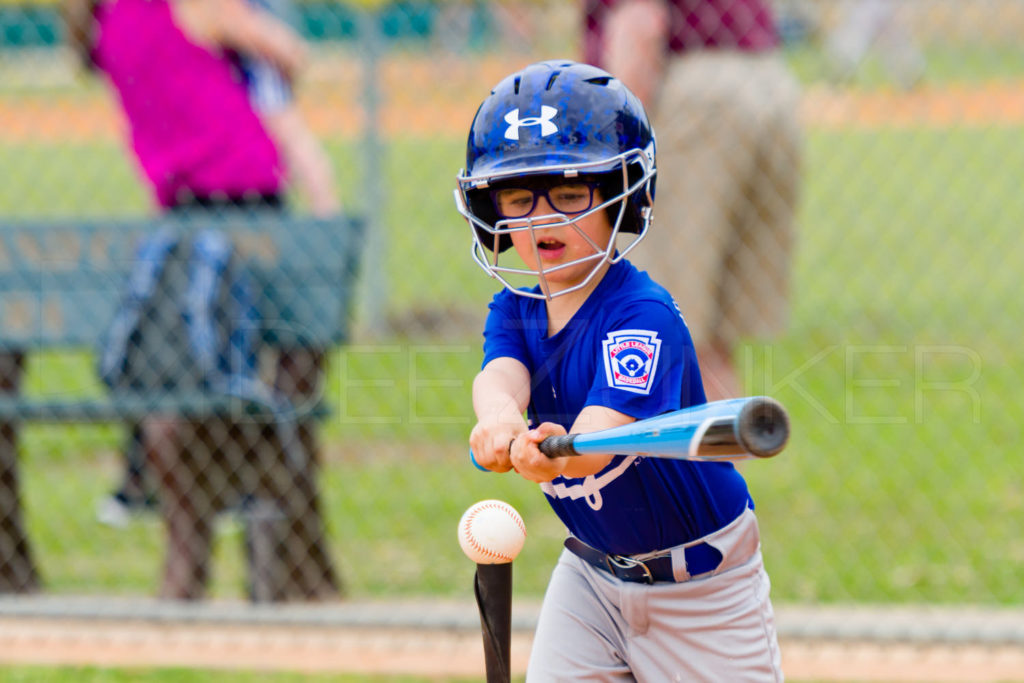 1733C-_5009735.NEF Houston Sports Photographer Dee Zunker