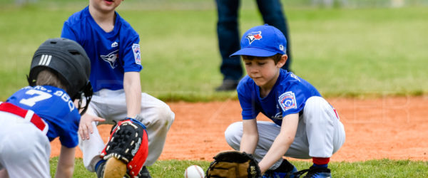 Bellaire Little League Rookies Blue Jays Yankees 20190323