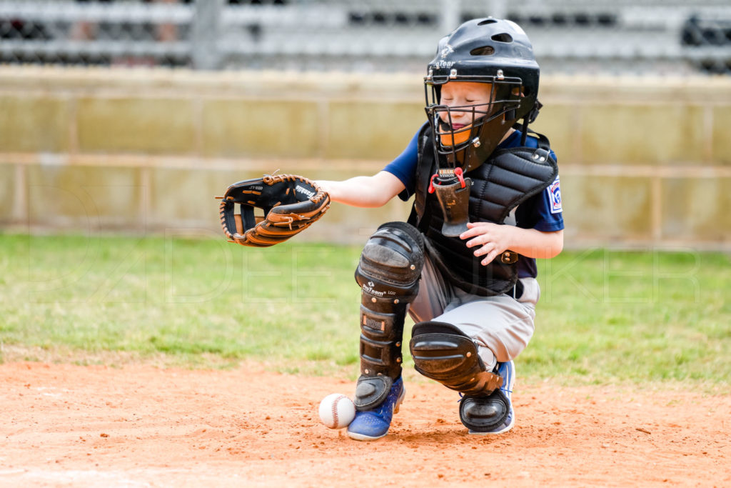 1733D-_5000165.JPG  Houston Sports Photographer Dee Zunker