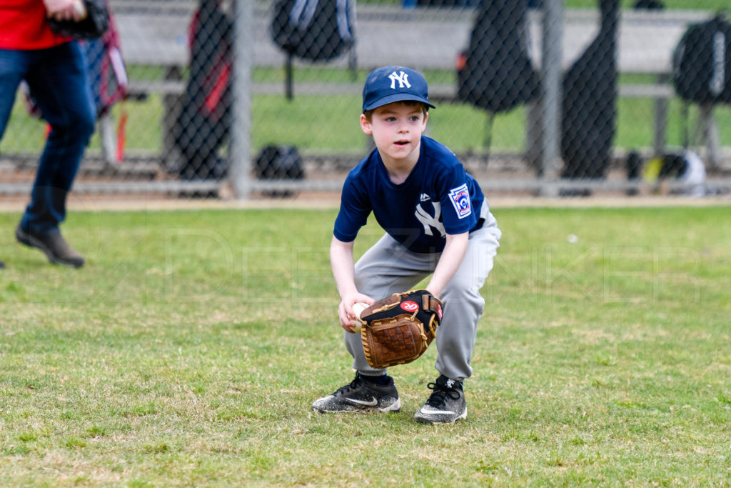 1733D-_5000318.JPG Houston Sports Photographer Dee Zunker