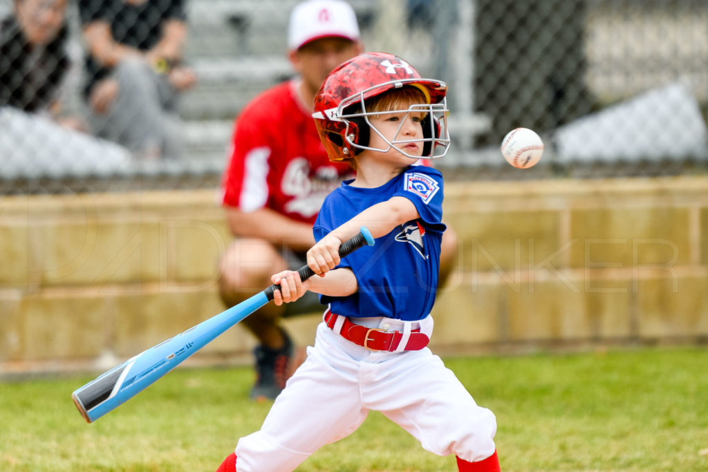 1733D-_5009891.JPG Houston Sports Photographer Dee Zunker