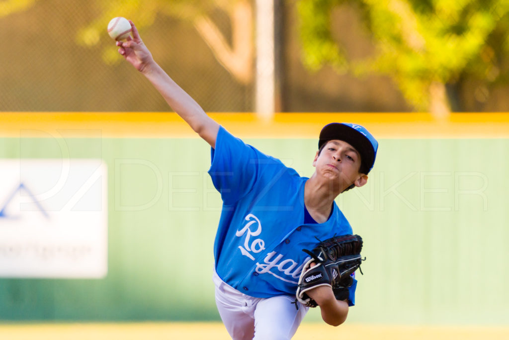 1733f_5001454.NEF  Houston Sports Photographer Dee Zunker