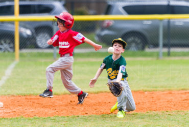 Bellaire Little League Texas Division Bears Cougars 20190330