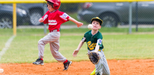 Bellaire Little League Texas Division Bears Cougars 20190330