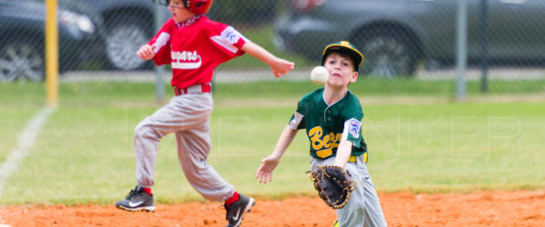 Bellaire Little League Texas Division Bears Cougars 20190330