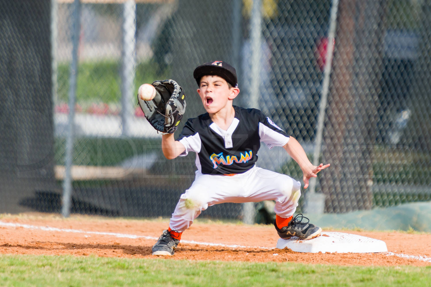Bellaire Little League National Cardinals Marlins 20190402