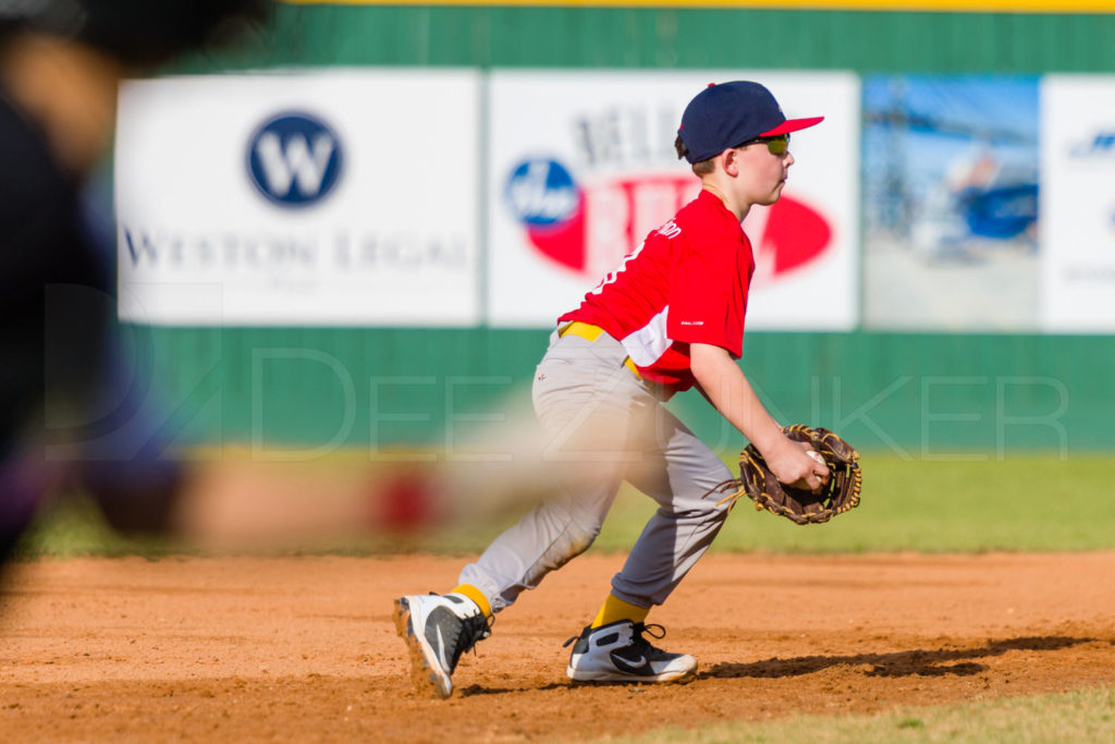 1733i_5002377.NEF  Houston Sports Photographer Dee Zunker