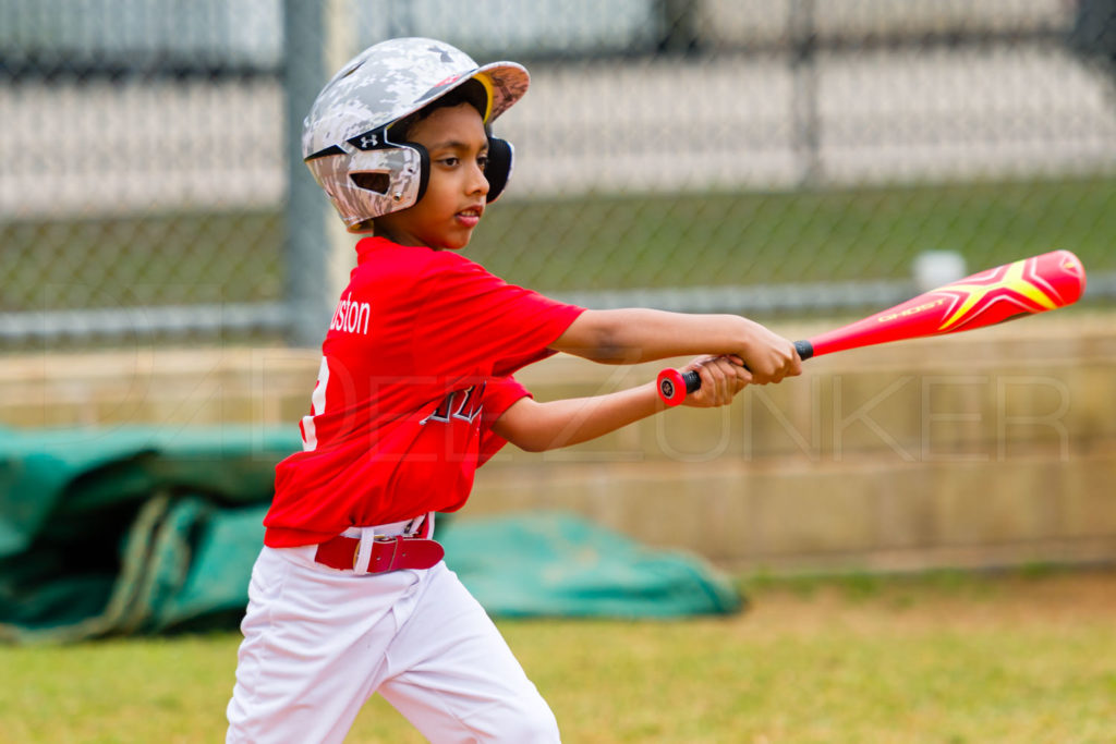 1733j_5002975.NEF  Houston Sports Photographer Dee Zunker