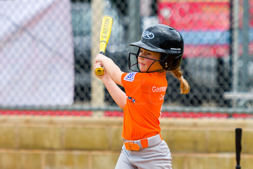 1733j_5003138.NEF Houston Sports Photographer Dee Zunker
