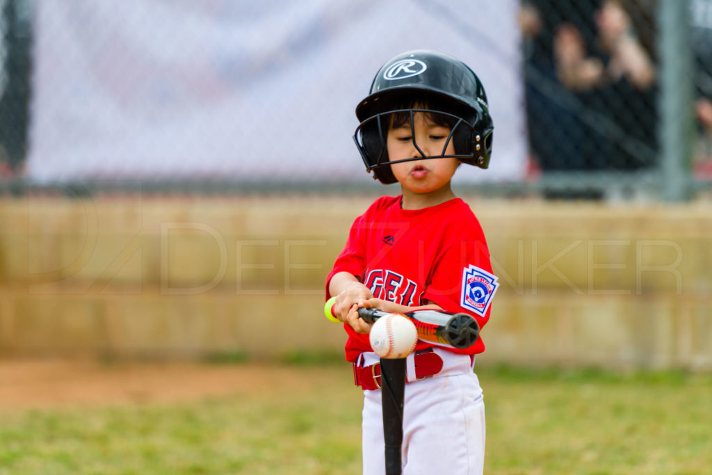 1733j_5003227.NEF  Houston Sports Photographer Dee Zunker