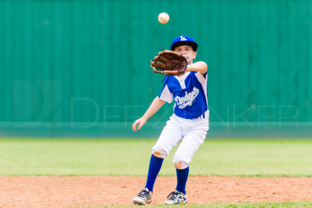 1733k_5003471.NEF  Houston Sports Photographer Dee Zunker