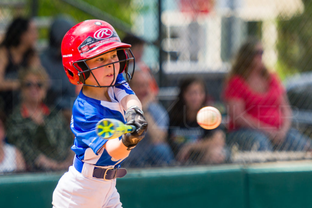 1733k_5003775.NEF Houston Sports Photographer Dee Zunker