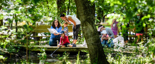 Nature Discovery Center – Google 360 Virtual Tour