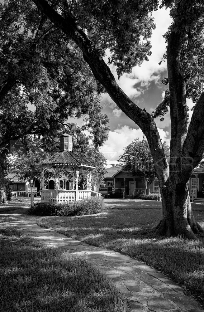 Oak Trees and Gazebo in Old Town Spring  201808-SpringTx-005.psd  Houston Commercial Architectural Photographer Dee Zunker