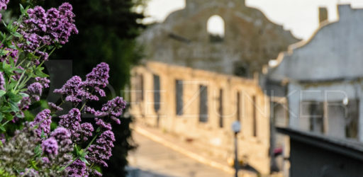 Alcatraz: “Flowers at Sunset over the Officer’s Club”