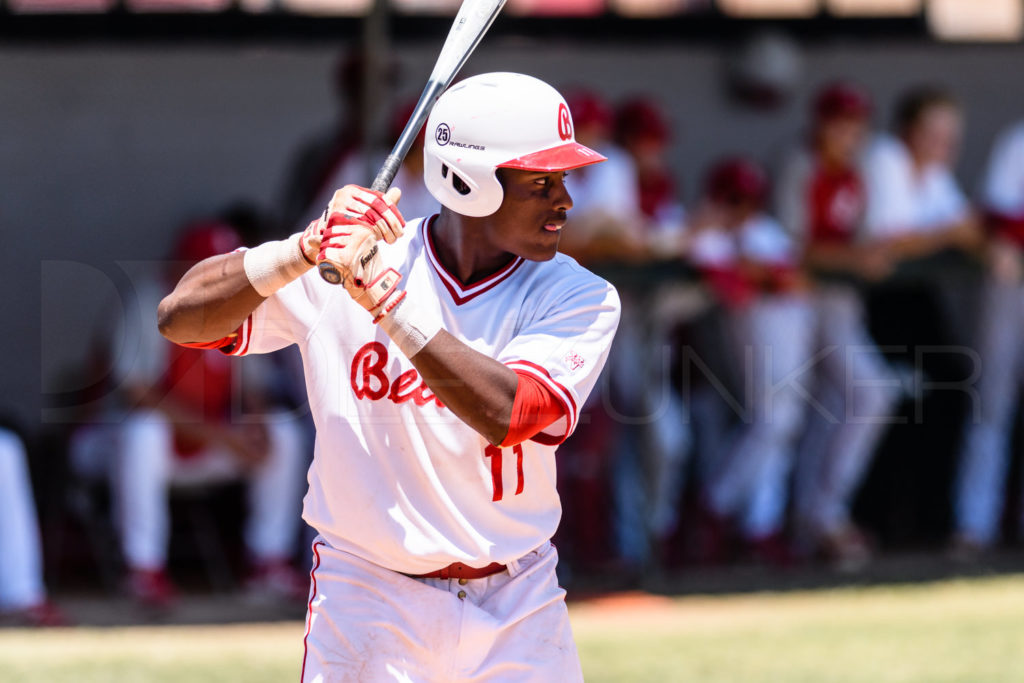 Bellaire-Varsity-Playoffs-20170513-093.dng  Houston Sports Photographer Dee Zunker