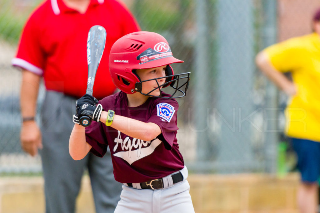 BellaireLL-20180405-Texas-Aggies-SunDevils-015.DNG  Houston Sports Photographer Dee Zunker