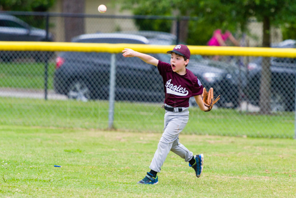 BellaireLL-20180405-Texas-Aggies-SunDevils-036.DNG  Houston Sports Photographer Dee Zunker