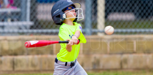 Bellaire Little League Texas Yellow Jackets Raiders 20180405