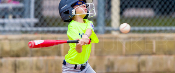 Bellaire Little League Texas Yellow Jackets Raiders 20180405