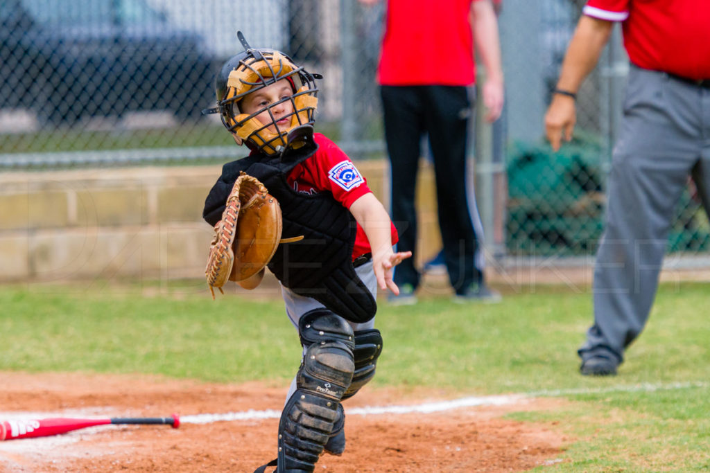 BellaireLL-20180405-Texas-YellowJackets-Raiders-029.DNG  Houston Sports Photographer Dee Zunker