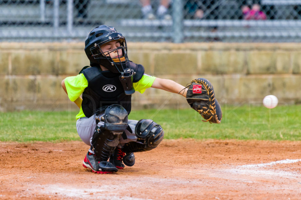 BellaireLL-20180405-Texas-YellowJackets-Raiders-037.DNG  Houston Sports Photographer Dee Zunker