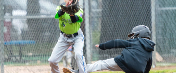 Bellaire Little League Minors Ironbirds Lake Monsters 20180407