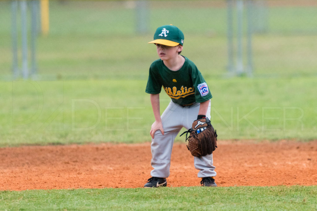 BellaireLL-20180407-Rookies-Astros-Athletics-024.DNG  Houston Sports Photographer Dee Zunker