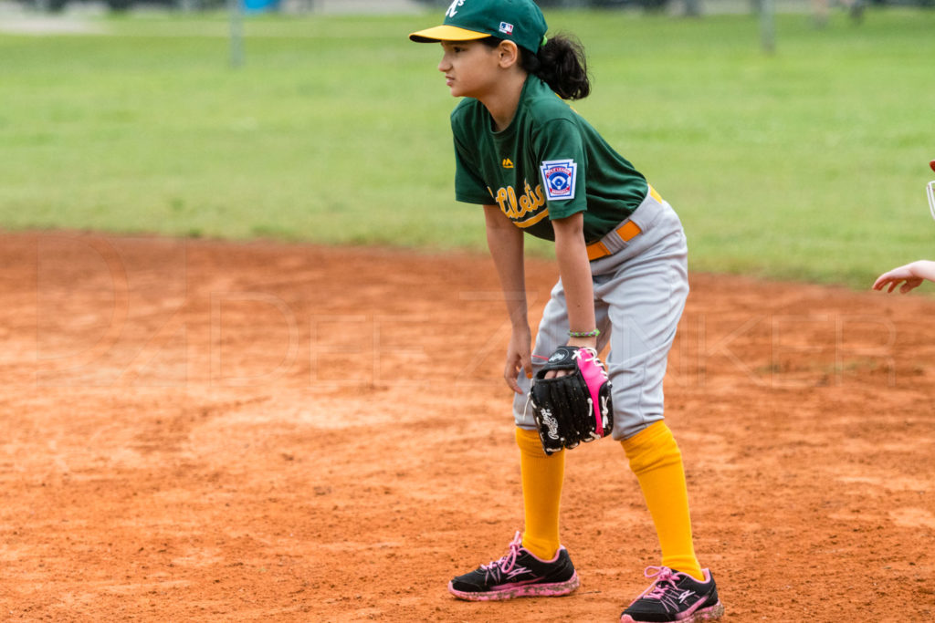 BellaireLL-20180407-Rookies-Astros-Athletics-026.DNG  Houston Sports Photographer Dee Zunker