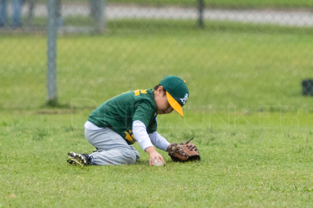 BellaireLL-20180407-Rookies-Astros-Athletics-034.DNG  Houston Sports Photographer Dee Zunker