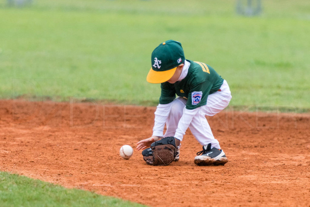 BellaireLL-20180407-Rookies-Astros-Athletics-044.DNG  Houston Sports Photographer Dee Zunker