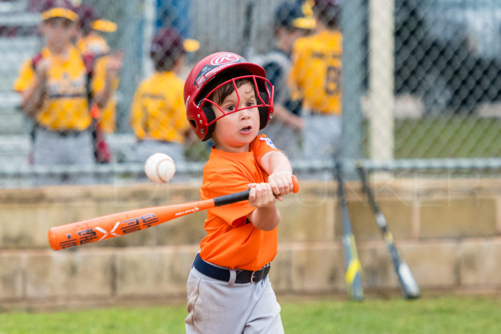 BellaireLL-20180407-Rookies-Astros-Athletics-050.DNG  Houston Sports Photographer Dee Zunker