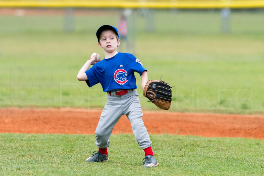 BellaireLL-20180407-Rookies-Cubs-015.DNG  Houston Sports Photographer Dee Zunker