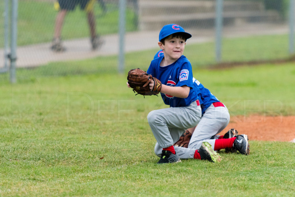 BellaireLL-20180407-Rookies-Cubs-041.DNG  Houston Sports Photographer Dee Zunker