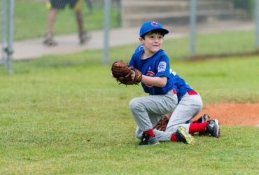 Bellaire Little League Rookies Cubs 20180407