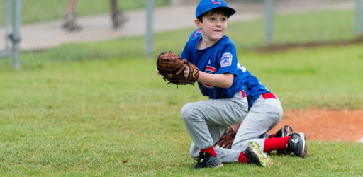 Bellaire Little League Rookies Cubs 20180407